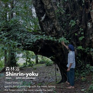 Yutori, Obuitori, Wabi-sabi - and many more… ✨🌿

At our recent retreat, I had the privilege of facilitating an experience that drew inspiration from Shinrin-yoku (Japanese for forest bathing) - the practice of slowing down and immersing ourselves in nature. We walked gently, breathed deeply, and allowed the forest to remind us of presence.

Through moments of mindfulness and pause, we reconnected with a quieter rhythm of life. Other Japanese ways of seeing reminded us to value imperfection, to honor our own timing, and to hold space for what truly matters.

It wasn’t about doing more. It was about noticing more. In stillness, clarity returns. In slowing down, connection deepens. 

[Mindfulness, wellbeing, retreat, wellness, wabi sabi, forest, nature, art]

#mindfulness #retreat #wellness #forest #nature